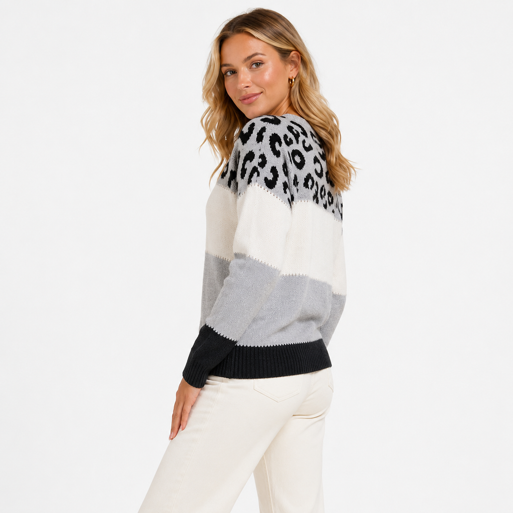 Pull Femme Grande Taille Color Block – Imprimé Léopard